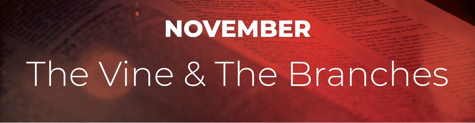 BibleBubbles_monthly_webheaders-04