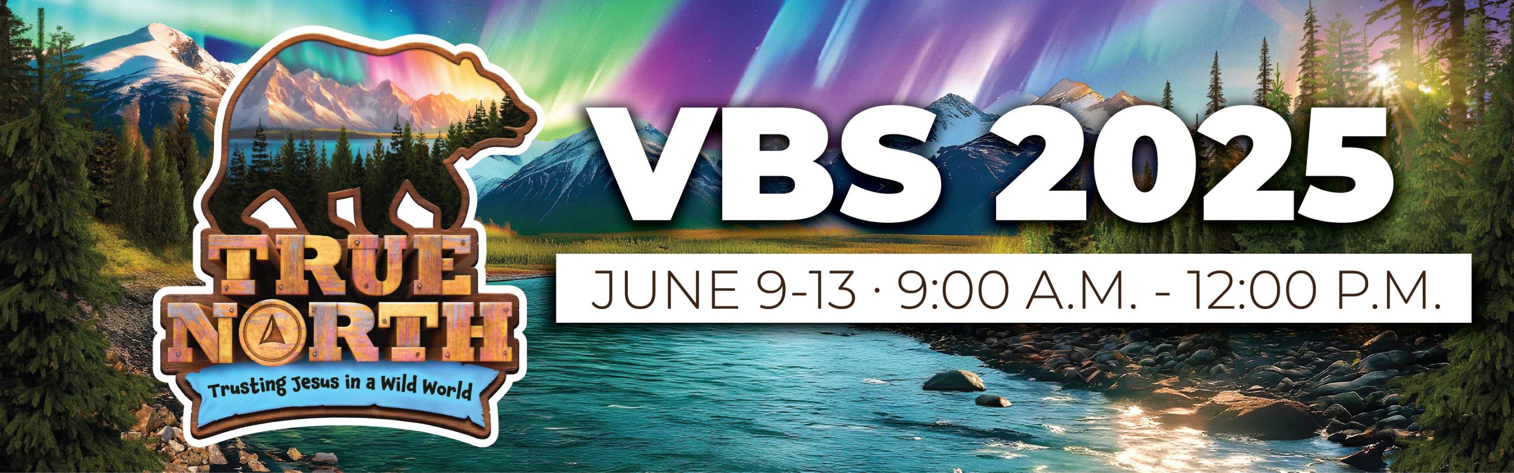 VBS2025_banner VBS2025_banner